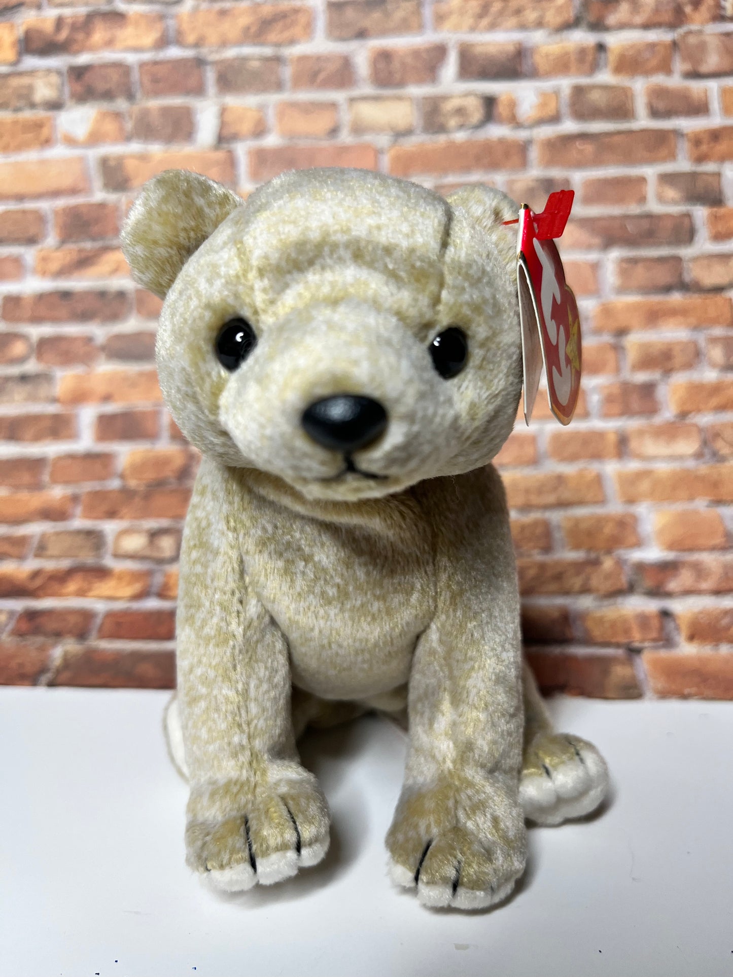 Ty Beanie Babies “Almond” The Bear, May 1 1999