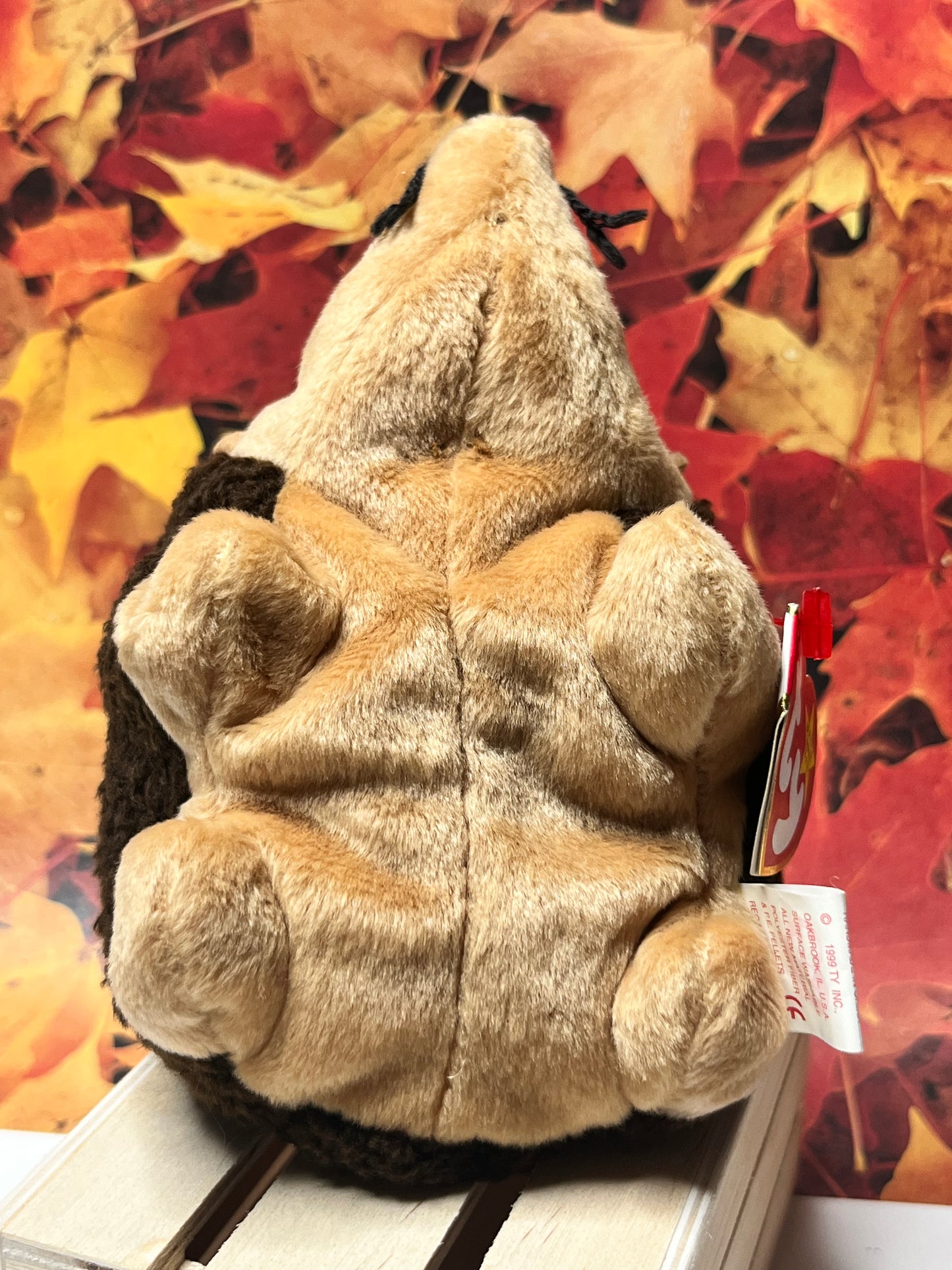 Ty Beanie Babies “Prickles” The Hedgehog, February 19 1998