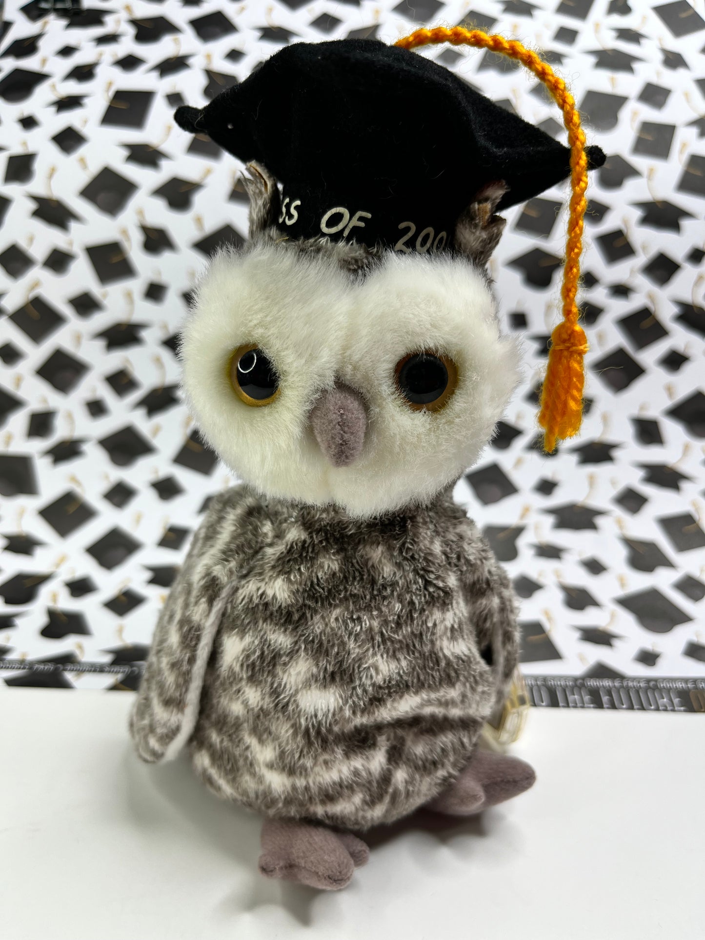 TY Beanie Babies “Smart” The Owl, June 7 2000