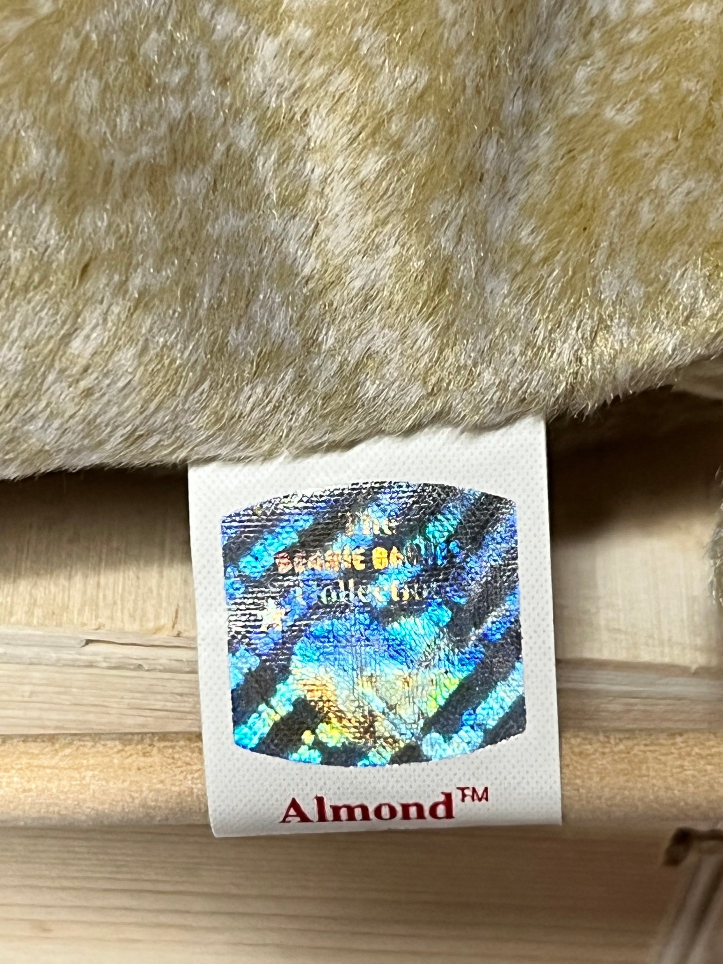 Ty Beanie Babies “Almond” The Bear, May 1 1999