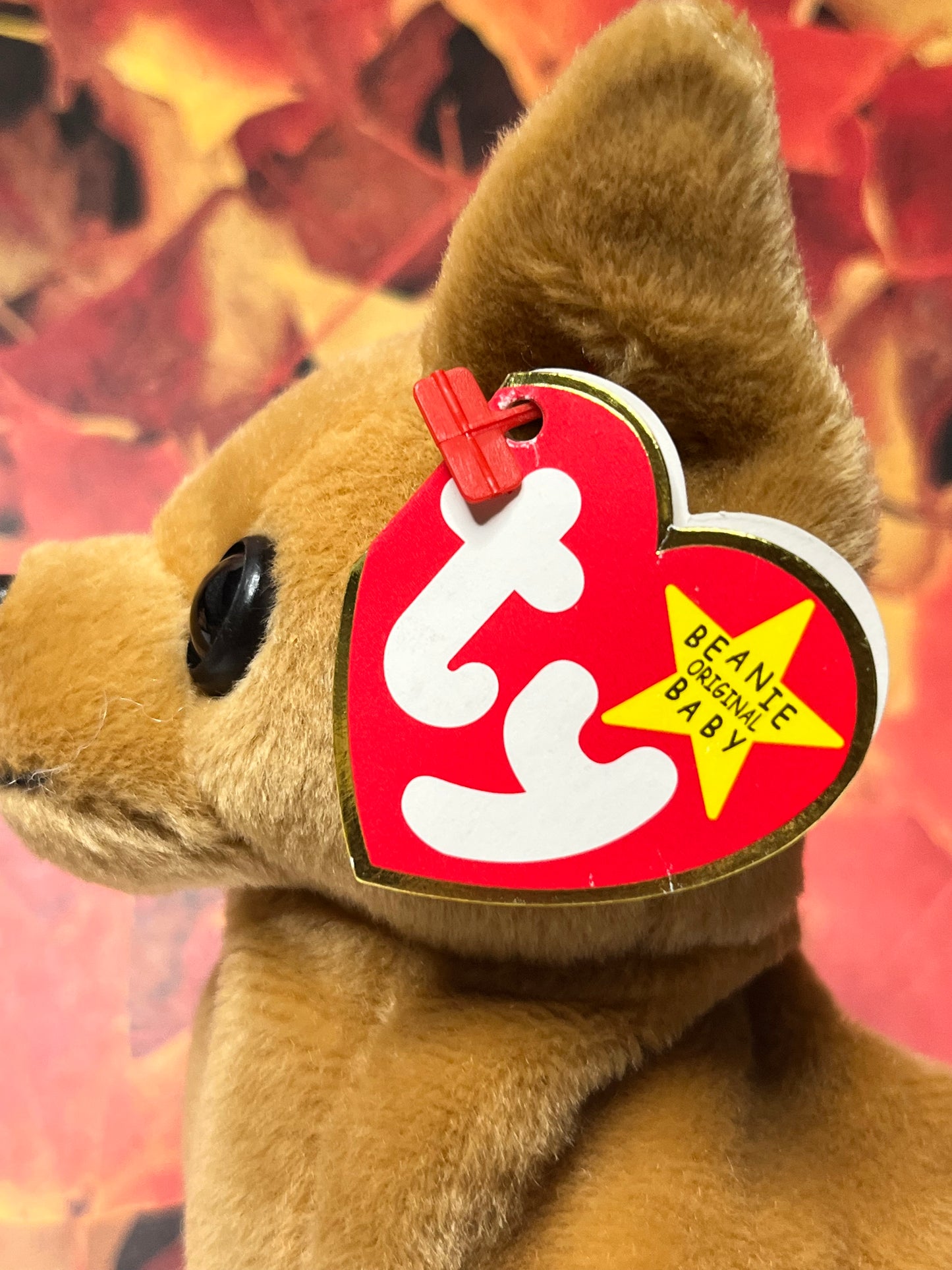 Ty Beanie Babies “Tiny” The Chihuahua, September 8 1998