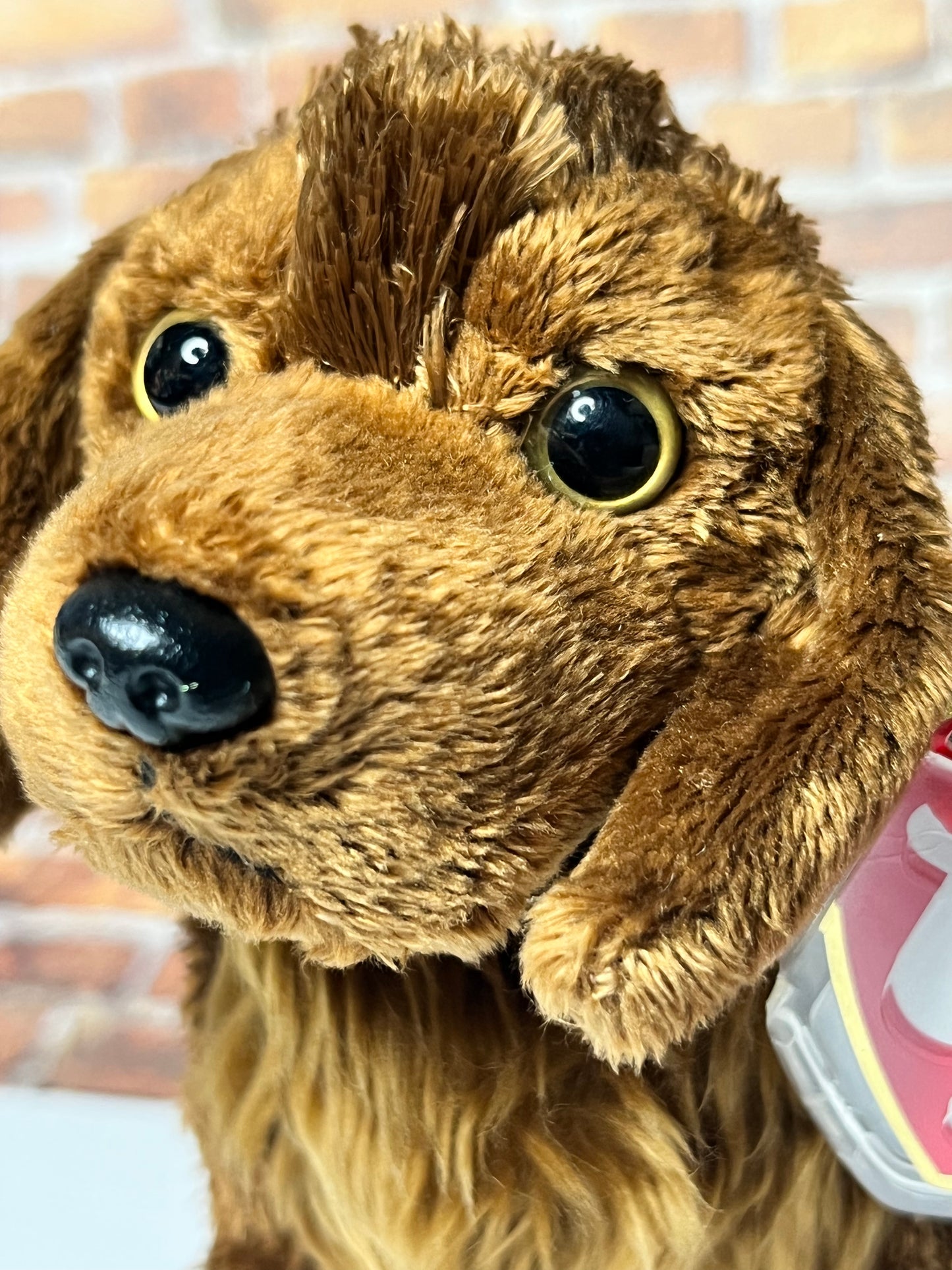 Ty Beanie Babies “Seadog” The Dog, July 22 2001