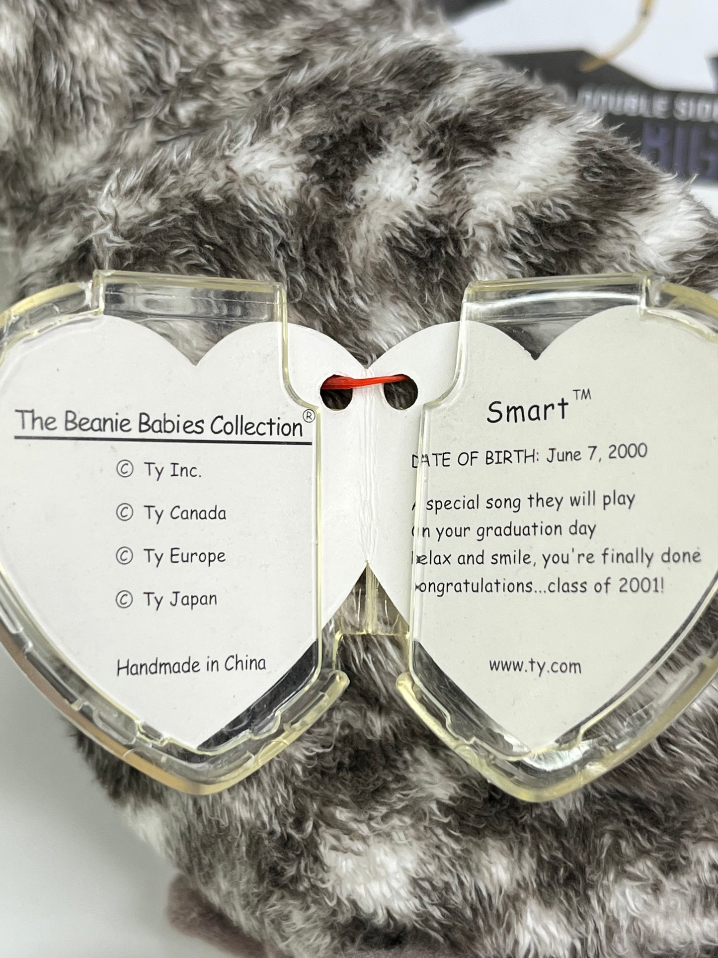 TY Beanie Babies “Smart” The Owl, June 7 2000