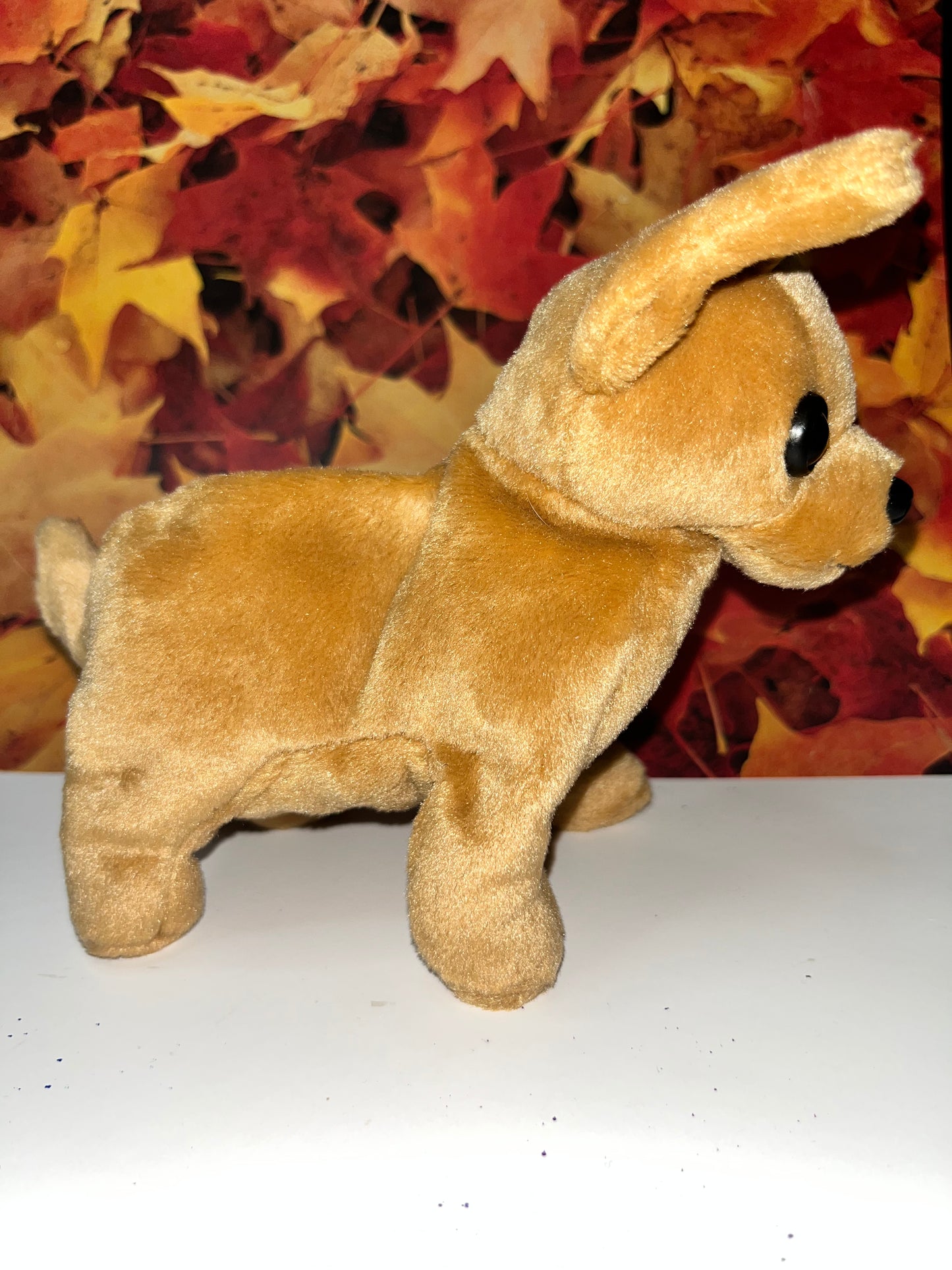 Ty Beanie Babies “Tiny” The Chihuahua, September 8 1998