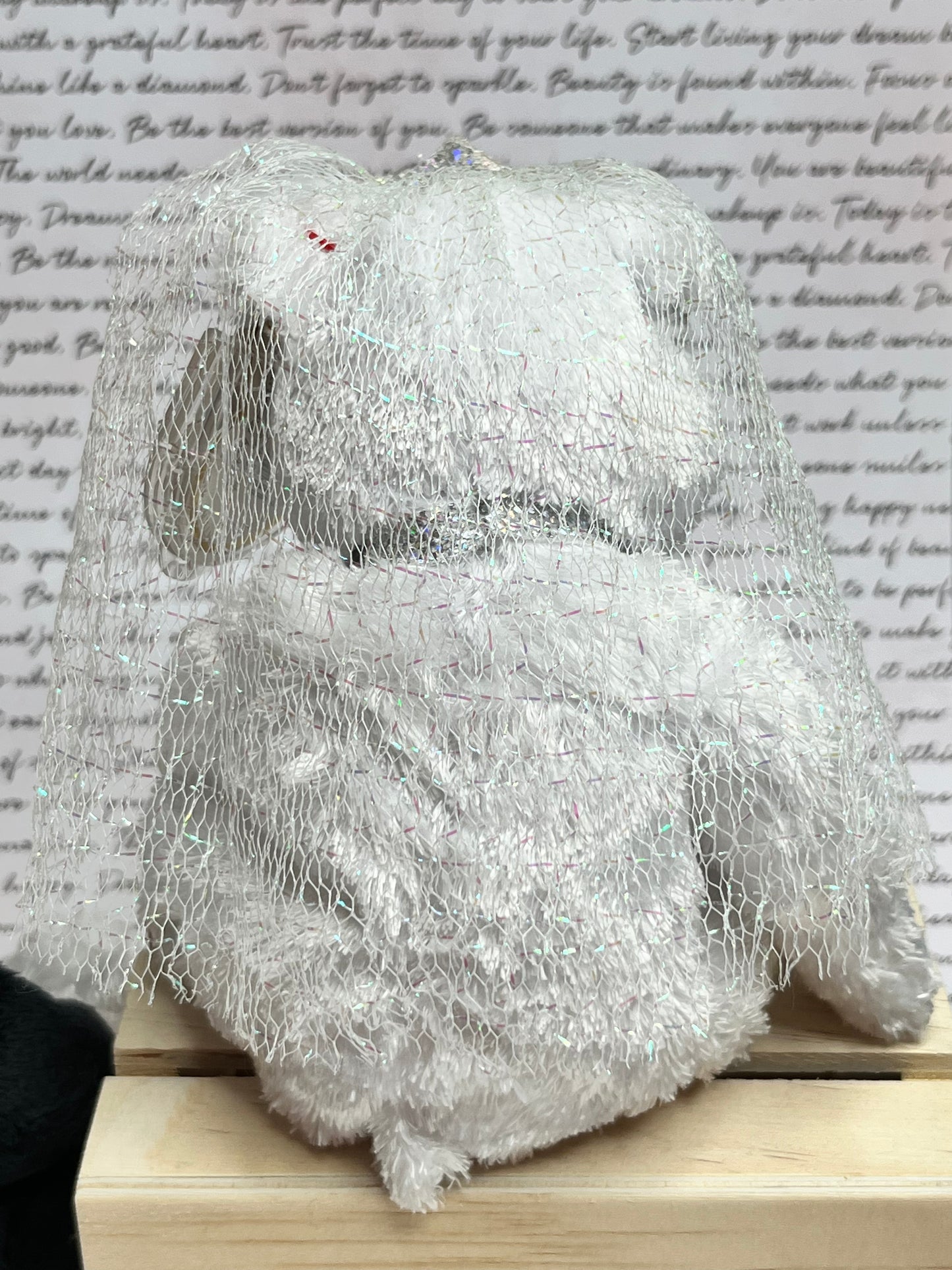 TY Beanie Babies “Bride” & “Groom” The Bears, May 1 2002