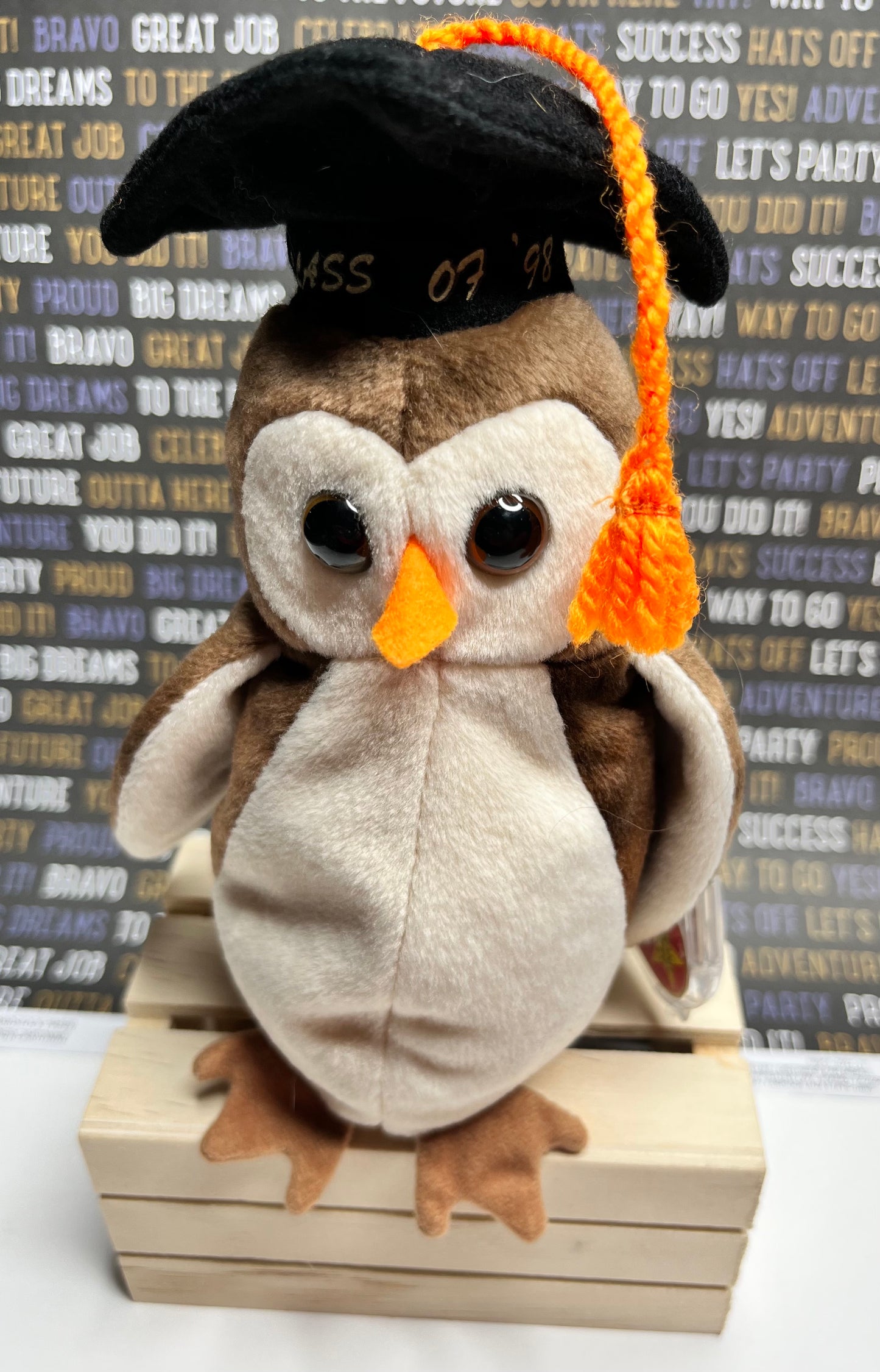 TY Beanie Babies “Wise” The Owl, May 31 2007