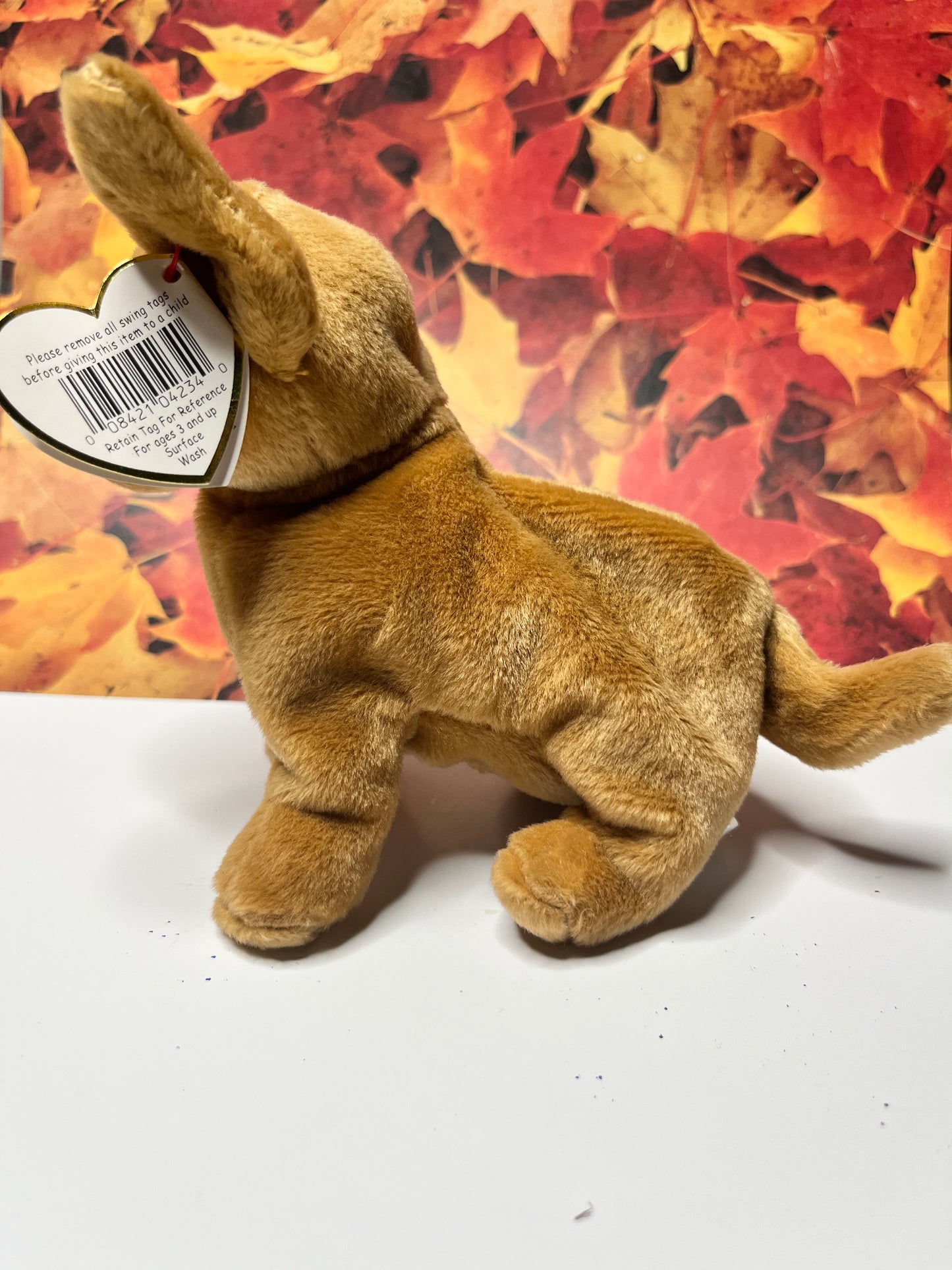 Ty Beanie Babies “Tiny” The Chihuahua, September 8 1998