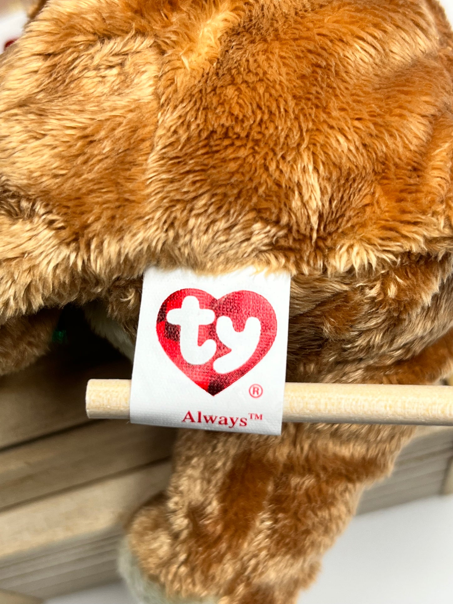 TY Beanie Babies “Always” The Bear, November 30 2004