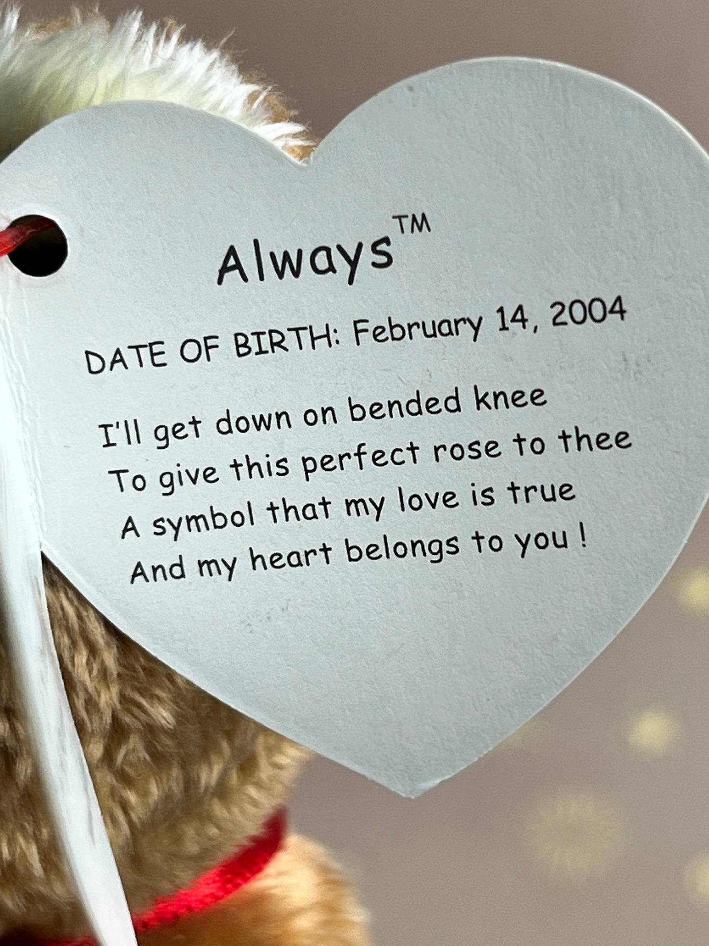 TY Beanie Babies “Always” The Bear, November 30 2004