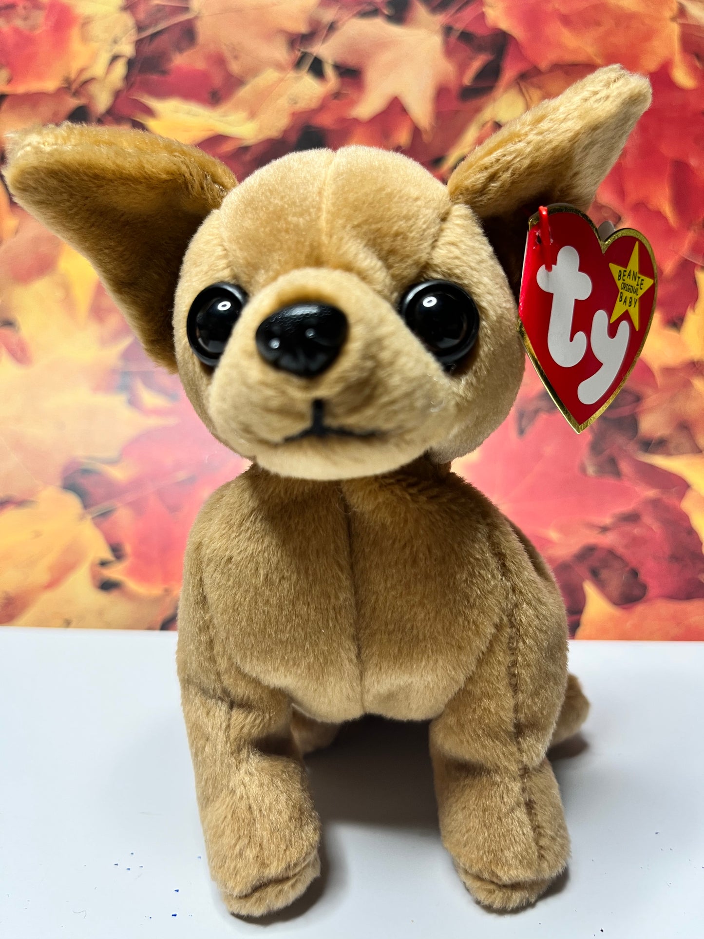 Ty Beanie Babies “Tiny” The Chihuahua, September 8 1998