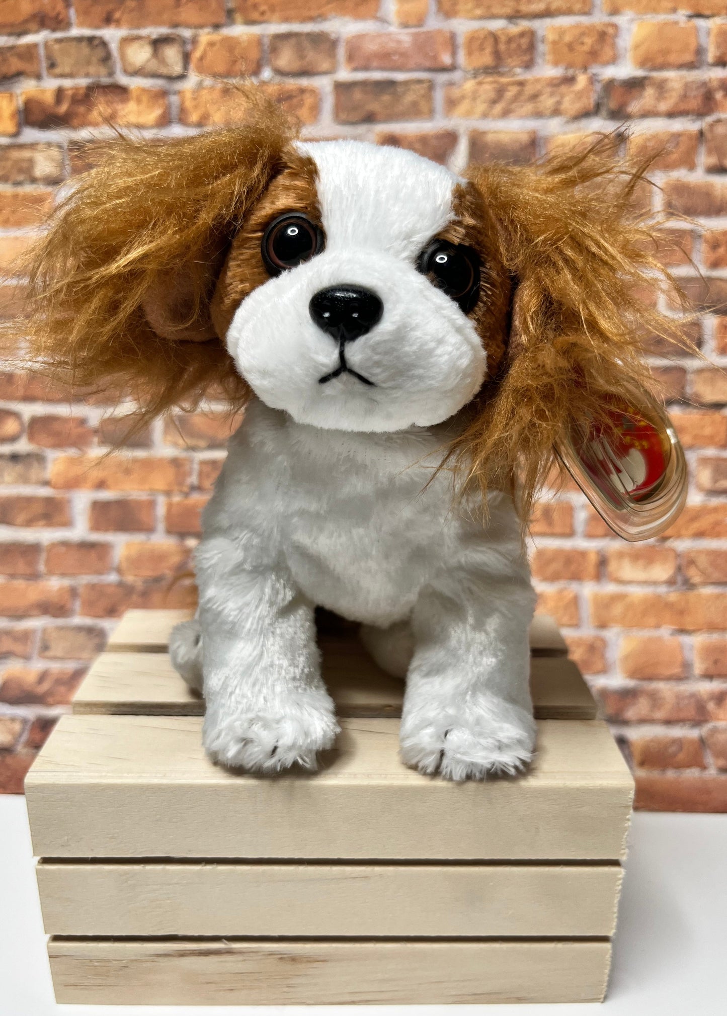 Ty Beanie Babies “Regal” The Dog, November 11 2000