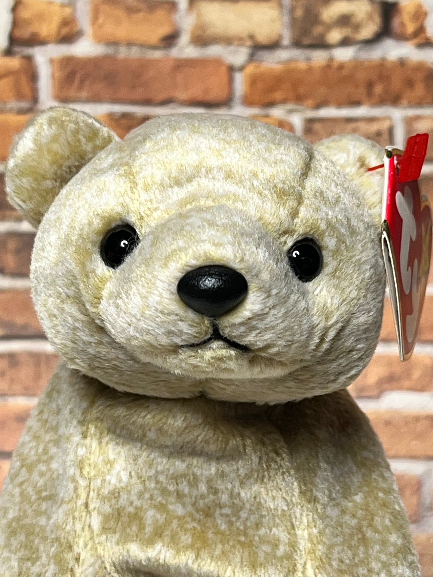 Ty Beanie Babies “Almond” The Bear, May 1 1999