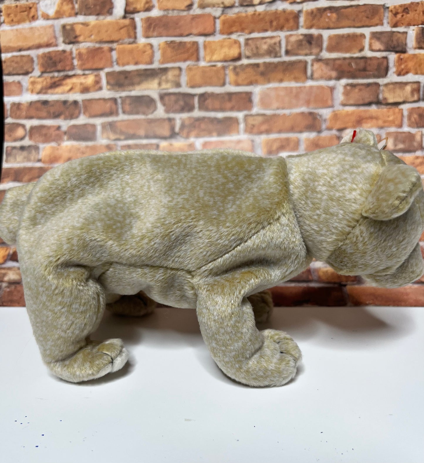 Ty Beanie Babies “Almond” The Bear, May 1 1999