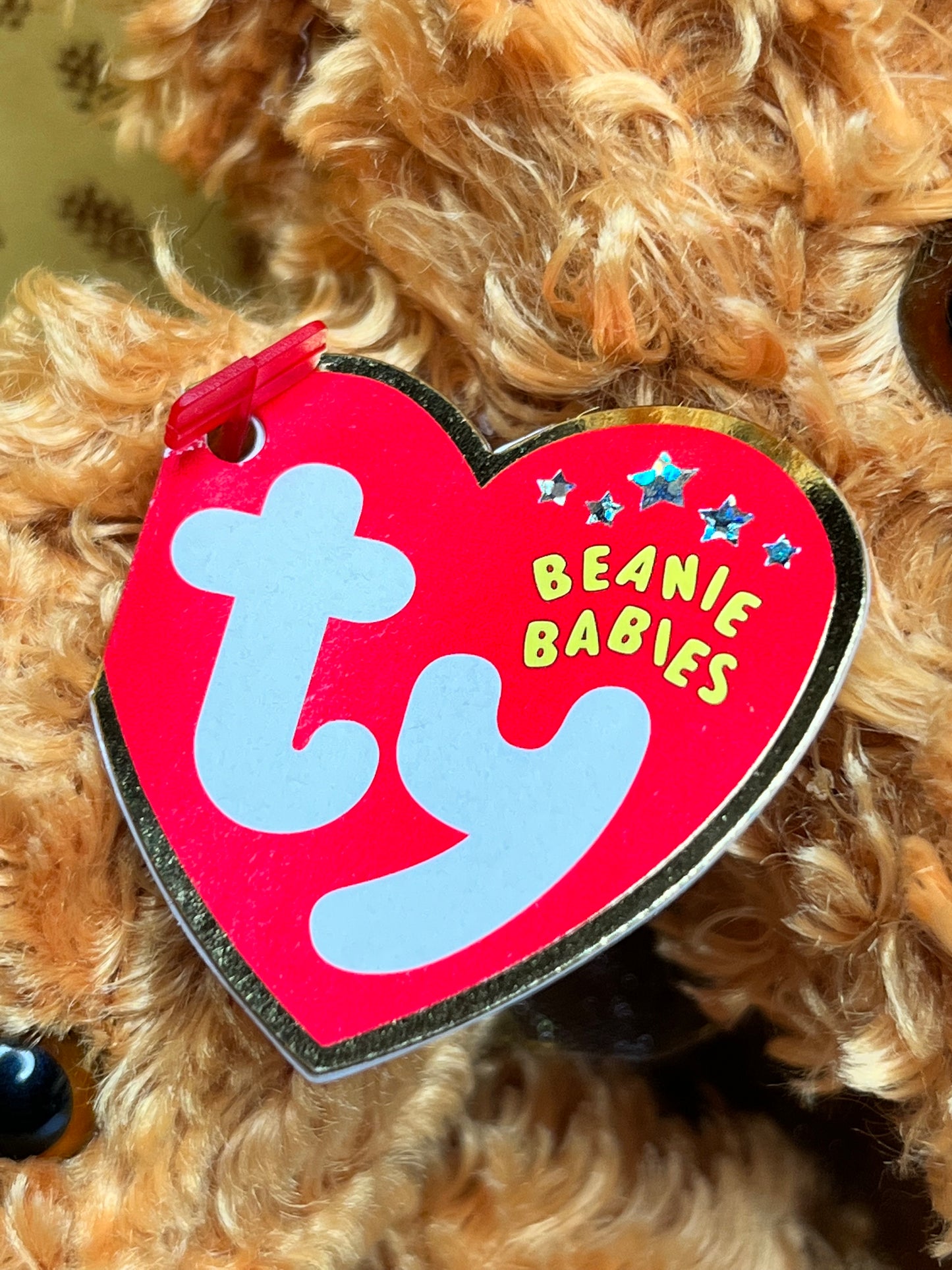 TY Beanie Babies “Teddy” The Set, January 20 2002