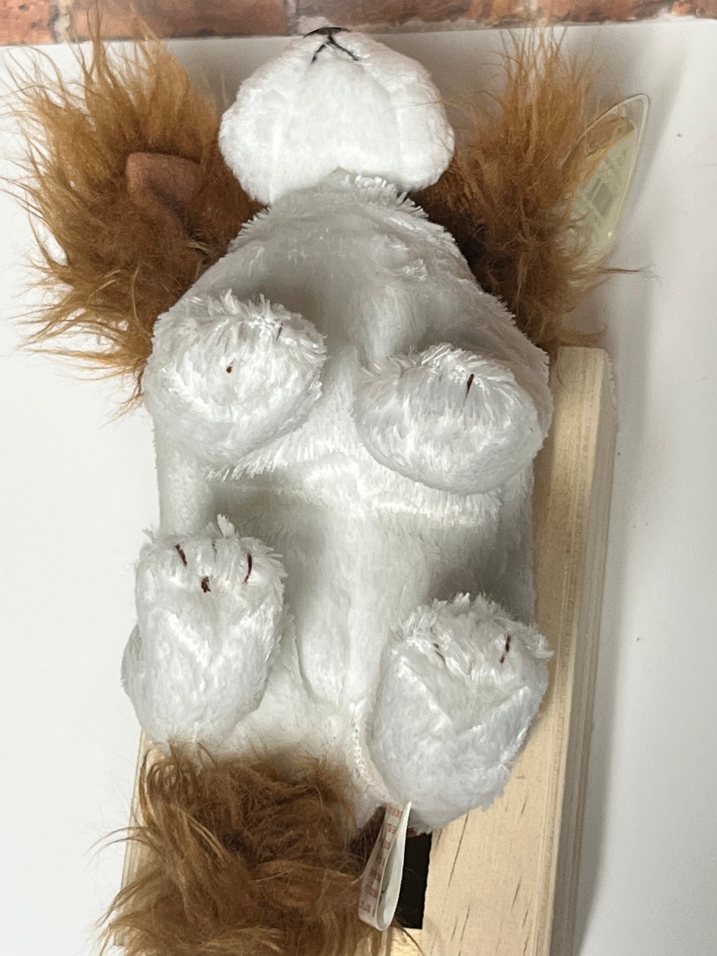 Ty Beanie Babies “Regal” The Dog, November 11 2000