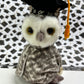 TY Beanie Babies “Smart” The Owl, June 7 2000