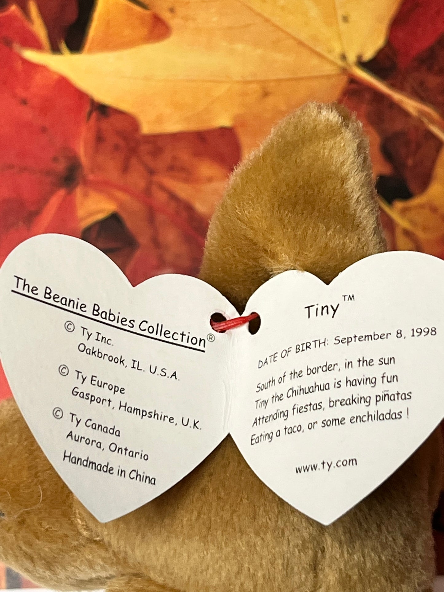 Ty Beanie Babies “Tiny” The Chihuahua, September 8 1998