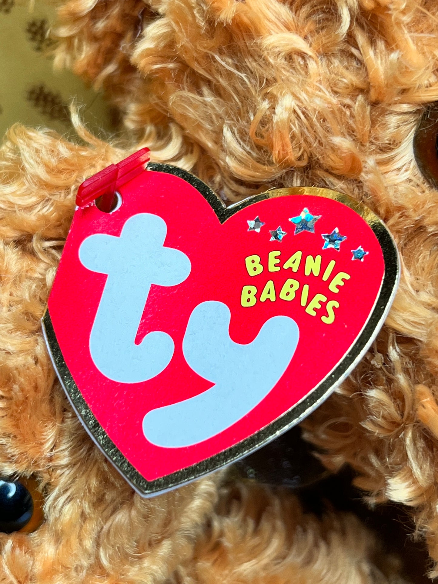 TY Beanie Babies “Teddy” The Set, January 20 2002